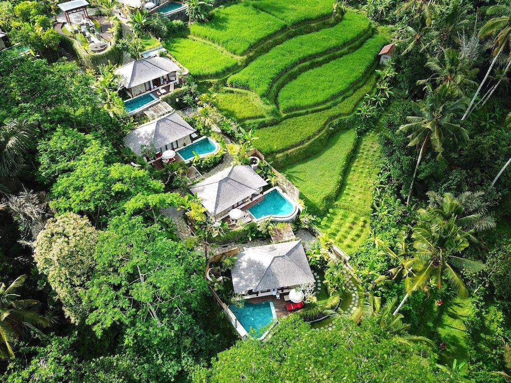 นาวู วิลลา อูบุด Villa เตกากาลัง ภายนอก รูปภาพ