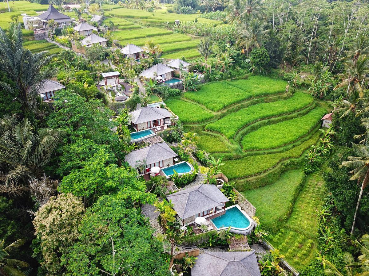 นาวู วิลลา อูบุด Villa เตกากาลัง ภายนอก รูปภาพ